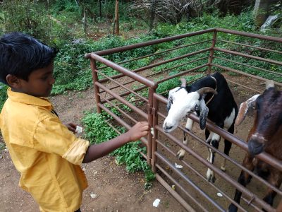 Martin's Farm Visit | Samridhdhi Trust, Bangalore